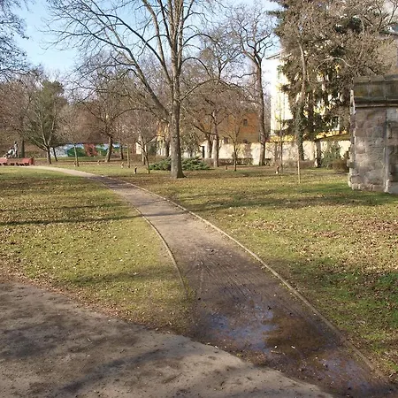 Evi Eger